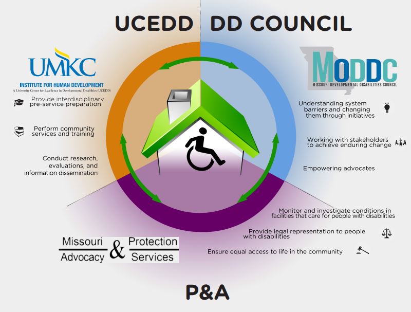 Diagram showing the functions of the DD Network partners